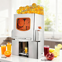 Automatische citruspers van gietijzer voor commerciële doeleinden, 20 sinaasappels/min