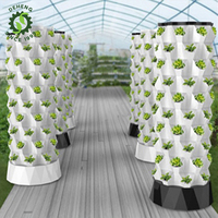 Tours de culture aquaponique de jardin, jardin vertical, système hydroponique, aquaponie, tuyaux en PVC, culture de légumes