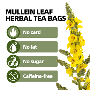 Thé Herbal OEM à base de Feuilles de Molène pour le Confort Respiratoire et de la Gorge, Végétalien et Sans OGM, 20 Sachets de Thé (1,5g chacun) en Boîte - Product Image 2