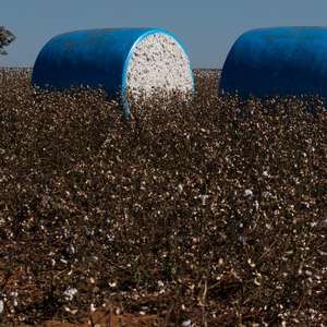 فيلم تغليف قطني مرن بألوان مخصصة أصفر وأزرق مباشرة من المصنع - Product Image 4