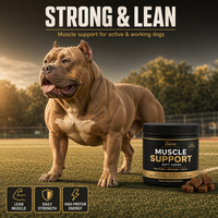 Complément Énergétique Quotidien pour Chiens : Gain de Masse Musculaire, Gommes Tendres Protéinées au Whey, Soin Quotidien, Toutes Races, Naturel, Premium, Vente en Gros