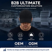 OEM ODM Zwarte Baseballpet Zonder Opdruk 6 Panelen Katoen Dad Hat Verstelbaar Aangepast Logo Kleine MOQ Barudan DDP Snelle Verzending