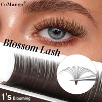 Boîtes personnalisées, brun foncé, cils individuels à éventail facile, cils synthétiques, cheveux naturels, longs, premium, méga volume, extensions de cils