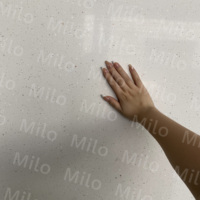 Dalles de Terrazzo ML-ST011-Prefabricated Grande Dalle avec Fond Blanc Cailloux Blancs pour Application de Table de Chambre à Coucher