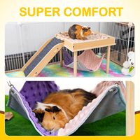 Accessoires pour hamster en peau de hamster agrandie personnalisés Hamac en bois pour cochon d'Inde avec plate-forme et escalier