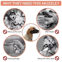 Nouveau cache-mâchoire multifonctionnel anti-morsure en maille pour chien de taille moyenne à grande, anti-détachement, pour Golden Retriever et Husky