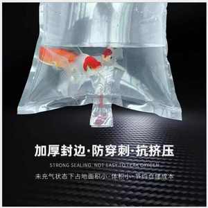 China Product <span class=keywords><strong>Aquarium</strong></span> Live Sierverpakking Transport Zuurstof Viszak Met Keramiek Pa Pe Materiaal En Lucht Steen Stijl - Product Image 5