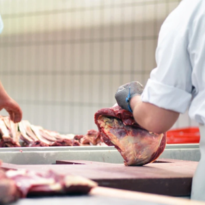 Qdevu hòa tan không khí nổi nhà máy xử lý nước thải slaghtering Thiết bị xử lý nước thải - Product Image 4