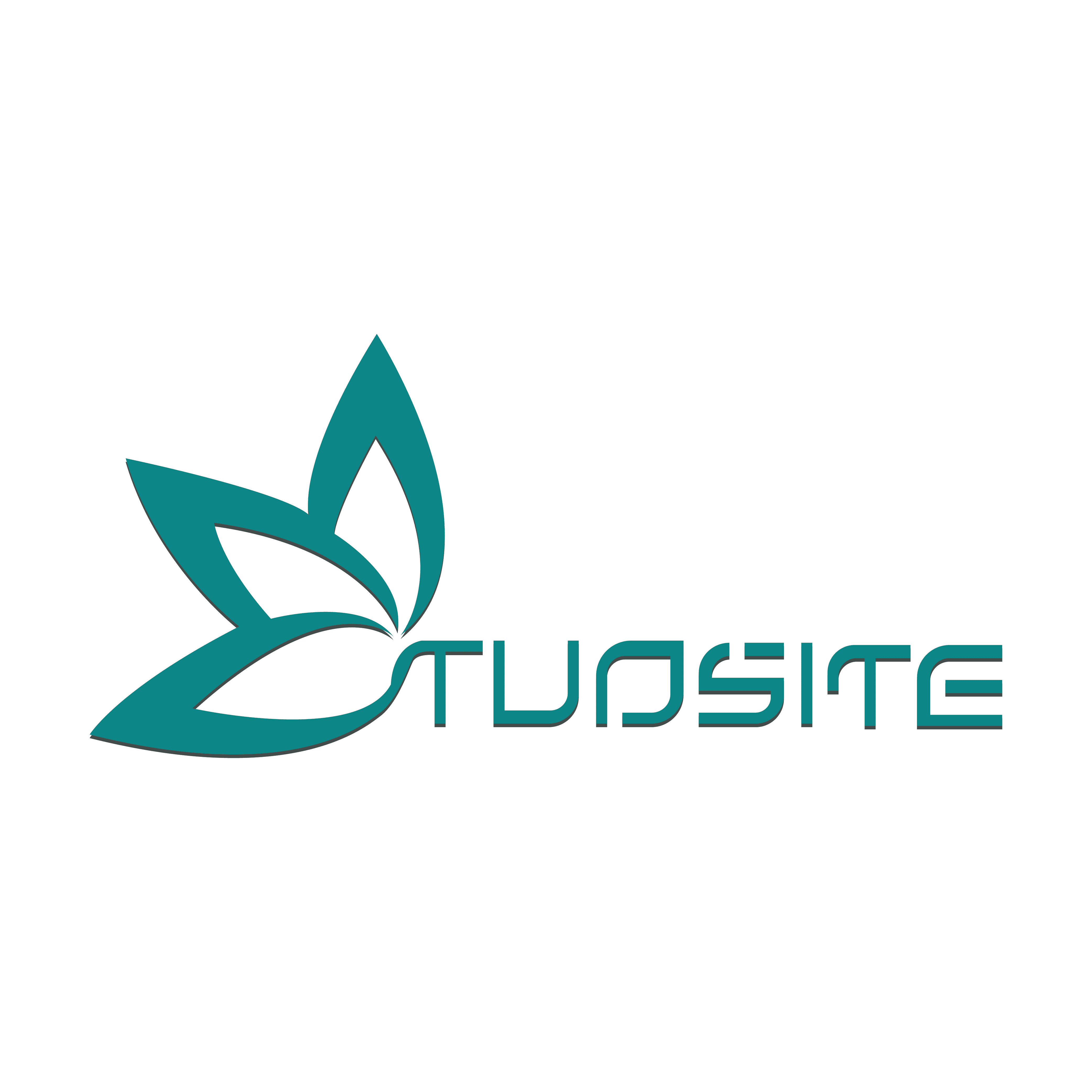 Hebei Tuosite Technology Co., Ltd. logo
