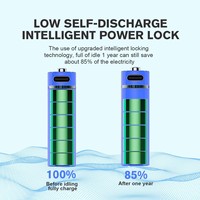 Batterie rechargeable AA modèle 1.5V4200 mAh, interface USB, microphone sans fil, serrure de porte intelligente compatible avec batterie rechargeable