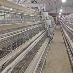 Pondoirs automatiques galvanisés de type A pour poules pondeuses, système d'élevage automatique à 4 niveaux, nettoyage facile, longue durée de vie - Product Image 3
