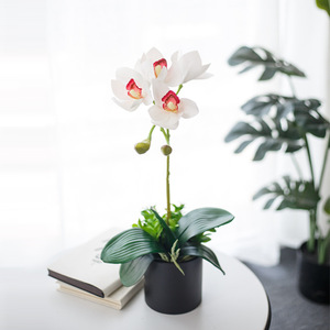 <span class=keywords><strong>L875</strong></span> Décoration de mariage pour la maison Orchidée artificielle Simulation d'orchidée papillon Orchidée papillon 3D Real Touch avec pot - Product Image 2