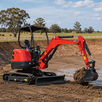 Mini-excavatrice sur chenilles CE Euro 5 avec moteur Kubota, 1 tonne, livraison gratuite pour l'aménagement paysager et l'agriculture
