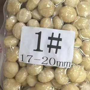 Premium Grade Raw Whole Macadamia <strong>Kernels</strong> 17-20mm Unroasted Unsalted <strong>Nuts</strong> - Product Image 1