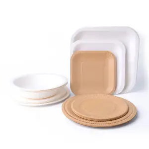 环保定制可生物降解餐具套装派对一次性圆形彩色纸盘