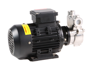 Proveedor Chino, Bomba de Circulación de Gas-Líquido Industrial Marca Aulank, Amplio Rango de Temperatura, 3 Fases, 380V, 10 Bar, 1 - Product Image 3