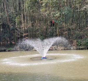 Offre Spéciale <span class=keywords><strong>de</strong></span> fontaines flottantes <span class=keywords><strong>de</strong></span> <span class=keywords><strong>pompe</strong></span> d'équipement augmentant l'oxygène <span class=keywords><strong>de</strong></span> poissons <span class=keywords><strong>de</strong></span> 0.37kw/0.75kw/1.1kw/1.5kw/2.2kw - Product Image 5