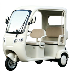 Tricycle Électrique de Loisirs à Corps Ouvert 60V 72V pour Adultes avec Toit, Vente Directe Usine, Alimentation 60V pour une Performance Optimale - Product Image 1
