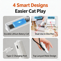 Jouet pour chaton d'intérieur, type C rechargeable, léger (22,2 g), stylo, autonomie de 15 jours, pointeur laser interactif pour animaux de compagnie
