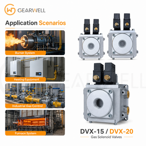 Vanne solénoïde à <span class=keywords><strong>gaz</strong></span> DVX-15 DVX-20, vanne de commande à double solénoïde pour brûleur industriel et système de sécurité du <span class=keywords><strong>gaz</strong></span> - Product Image 1