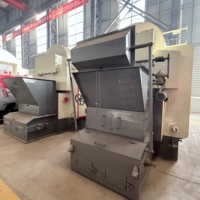 YG DZL Low Industrial Fully Automatic Biomass Wood Coal Fired Economically Stainless Steel Shell Steam Boiler Tekstil Makanan