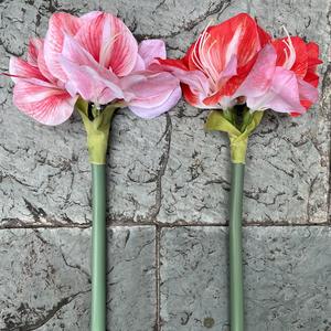LO-610 Vente en gros 64cm Fleur artificielle réaliste au toucher humide Clivia à tige unique <span class=keywords><strong>Amaryllis</strong></span> Fleur artificielle pour la décoration de la maison - Product Image 4