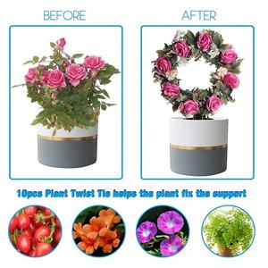 植木鉢 & プランター用金属製クライミングフレームラックサポートフレーム庭 & 屋内用多用途スタンド - Product Image 3