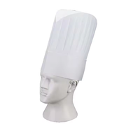 Pabrik Produsen Topi Koki Kertas untuk Dapur, Anak-anak, Dewasa, Topi Koki Non Woven