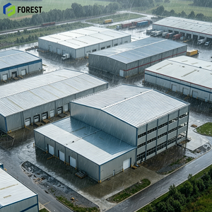 Parque Logístico de Estructura de Acero, Personalizable, de Ensamblaje Rápido, Exportador, Instalación de Almacenamiento a Granel, Modular e Impermeable - Product Image 1
