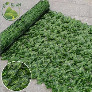 Mur plâtrage feuille clôture clôture gardénia feuille clôture feuille verte - Product Image 3