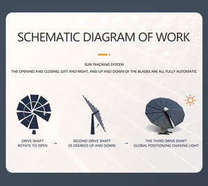 Système d'énergie solaire hybride hors réseau ZXD Green Energy pour l'irrigation des terres agricoles, système de suivi des panneaux solaires pour tournesols - Product Image 6