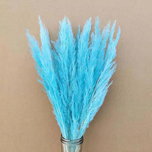 Arreglos florales para el hogar, decoración de boda, Pampas secas, hierba rugosa, hierba - Product Image 2