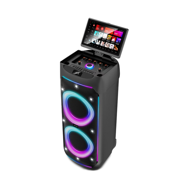 P2801 Karaoke Machine with Wireless Microphone and with Screen Bocinas bluetooth Con Pantalla Parlante bluetooth Con Pantalla