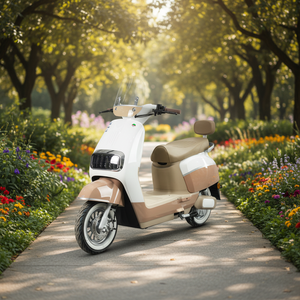 TYCORUN CKD SKD Moto électrique 10/12 pouces 1200W 40-60km/h Autonomie 45-65km Batterie Chine OEM Usine de cyclomoteurs électriques - Product Image 1