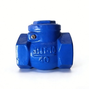 วาล์วกันกลับแบบเกลียวเหล็กหล่อ DN40 PN10 ชนิด NPT/BSPT สำหรับระบบน้ำประปา ท่อประปา และระบบปรับอากาศ - Product Image 5