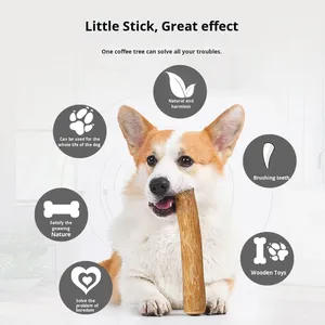<span class=keywords><strong>Jouet</strong></span> à mâcher naturel et écologique <span class=keywords><strong>pour</strong></span> chiens et chats, en bois de café durable, style moderne, sûr <span class=keywords><strong>pour</strong></span> les chiens et les chats, utilisation quotidienne - Product Image 5