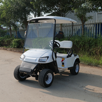Voitures de golf tout-terrain chinoises à bas prix, personnalisées, de haute qualité, à 2 places, polyvalentes, pour le tourisme, le camping et les clubs