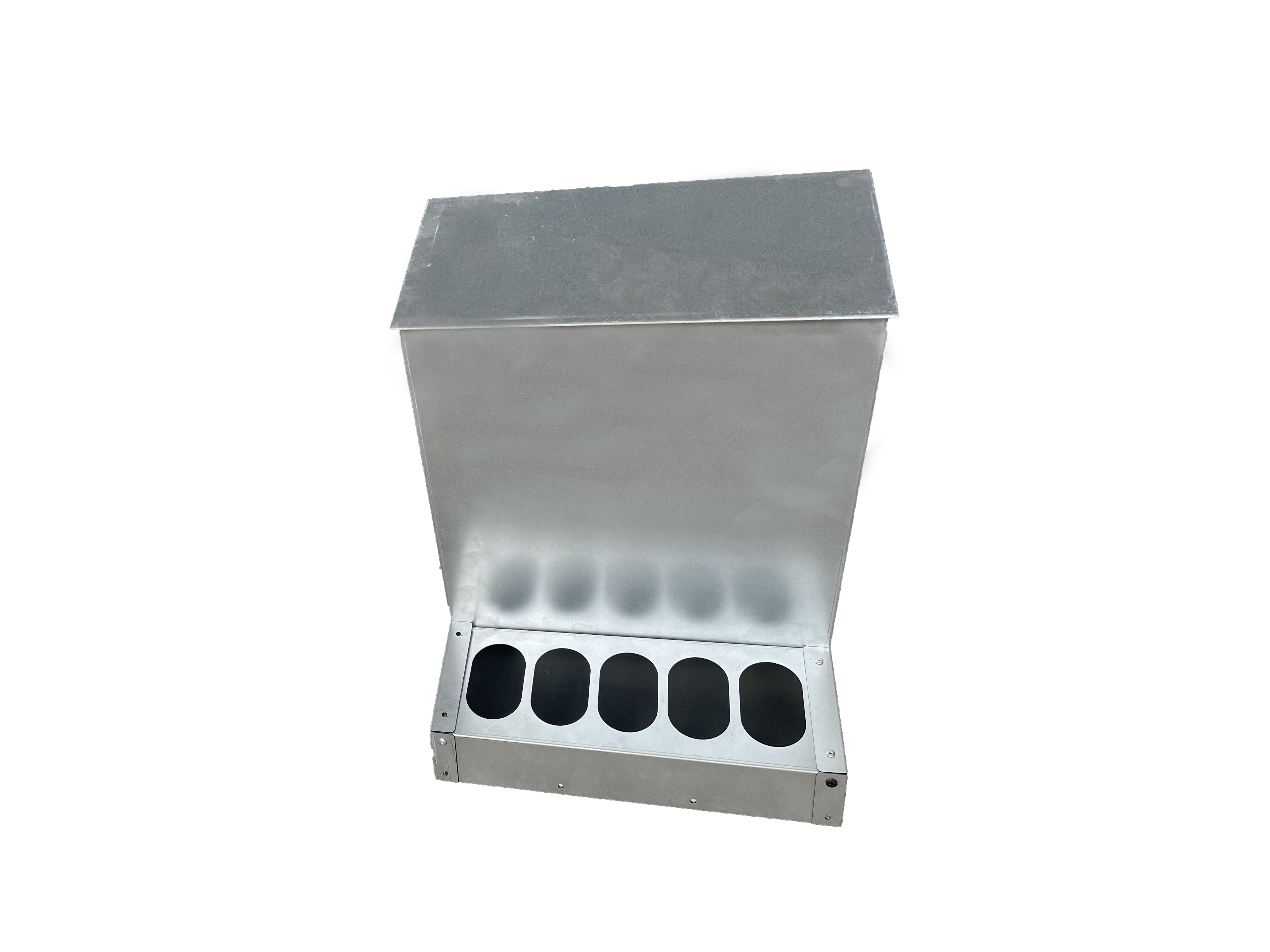 water feeder for chickens
