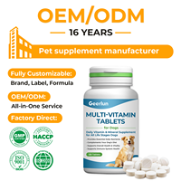 Suplemen Vitamin dan Mineral untuk Hewan Peliharaan dari Pabrik OEM, Mendukung Kesehatan Sistem Imun, Tablet Multivitamin untuk Anjing