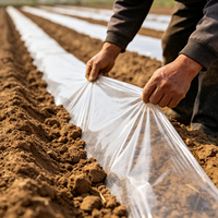Film de paillage agricole biodégradable noir et argenté en PE avec finition résistante aux UV, couverture de sol en plastique pour cultures, service de découpe