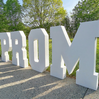Lettres lumineuses géantes en métal pour extérieur avec résistance aux intempéries IP65, installation au sol, panneau publicitaire