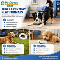 Jouet à mâcher pour chien en E-TPU à rebond élevé, silencieux, texture popcorn, multicolore, multiforme, pour intérieur et extérieur, interactif