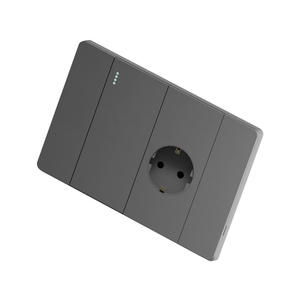 Module <span class=keywords><strong>de</strong></span> type 118 pouvant être librement remplacé par une <span class=keywords><strong>prise</strong></span> interrupteur à grand panneau gris <span class=keywords><strong>de</strong></span> norme européenne - Product Image 6