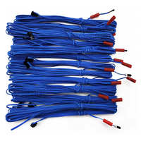 Allume-feu rapide, bâtonnets de feux d'artifice, allumeur électrique, États-Unis