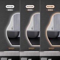 Miroir cosmétique LED lumineux avec cadre en alliage d'aluminium, design nuage irrégulier, pour coiffeuse, alimentation secteur, anti-buée, pour appartement