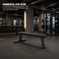 Chaise romaine en métal durable pour la plaque d'entraînement de force chargée 45 banc de sport d'exercice de dos d'extension pour l'usage à la maison de gymnase