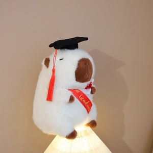schulabschluss-denkgeschenk capybara-doktoratshut universität schule grundschule graduierung plüsch-spielzeuggeschenk - Product Image 3