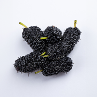 Bevroren Fruit Voor Bevroren Zwarte Vruchten Van Bevroren Moerbei Geheel