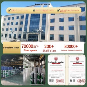 Water-Based <b>Waterproof</b> <b>Paint</b> for Swimming Pool Fish Pool Toilet Exterior <b>Wall</b> & Leakage Repair-Bubble Resistant - Product Image 4