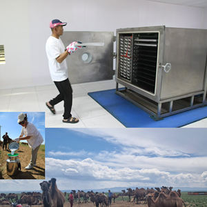 Liofilizador Industrial de Gran Escala de 180 kg, Equipo de Liofilización para Materiales Químicos - Product Image 2